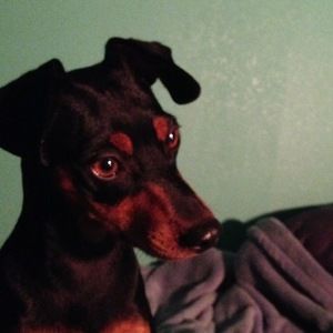 Meet your Posher, Guadalupe